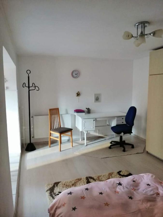 Moss'S Economy Apartment Timisoara Esterno foto